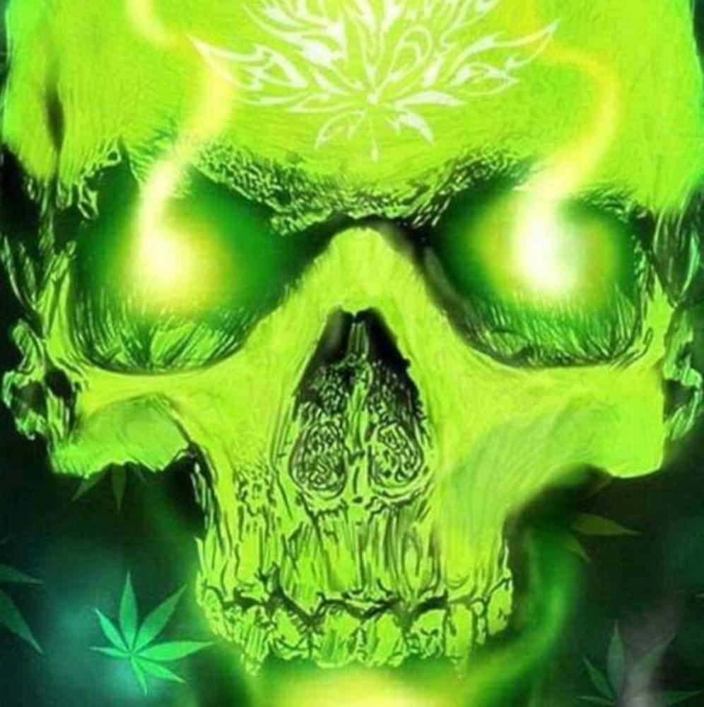 Meet your Posher, Tisha